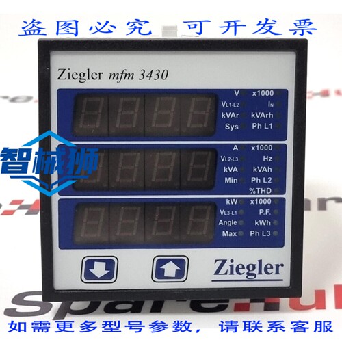 现货供应 ZIEGLER MFM 3430 仪表