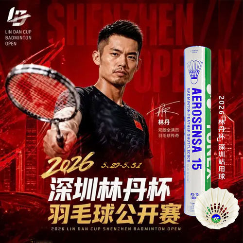 弓剑ARC11TOUR 精准操控进阶专业级羽毛球拍