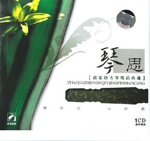 正版 赵家珍古琴精品典藏 琴思