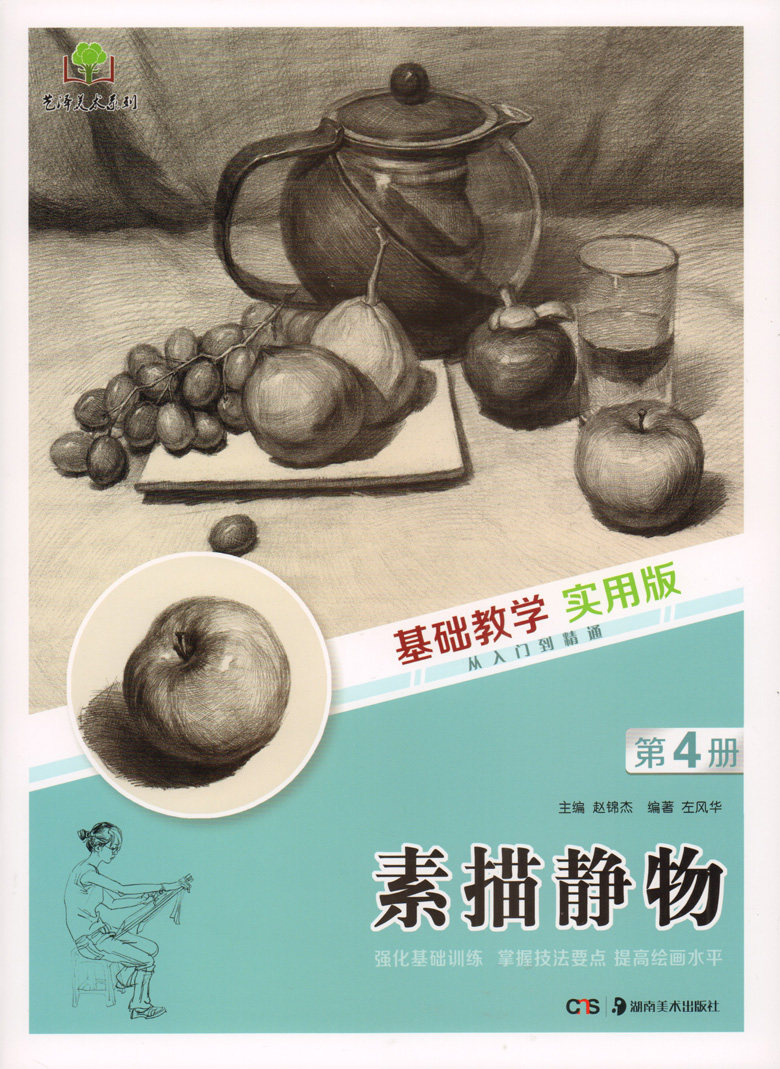 正版 素描静物/基础教学实用版从入门到精通第4册 赵锦杰 青少年美术