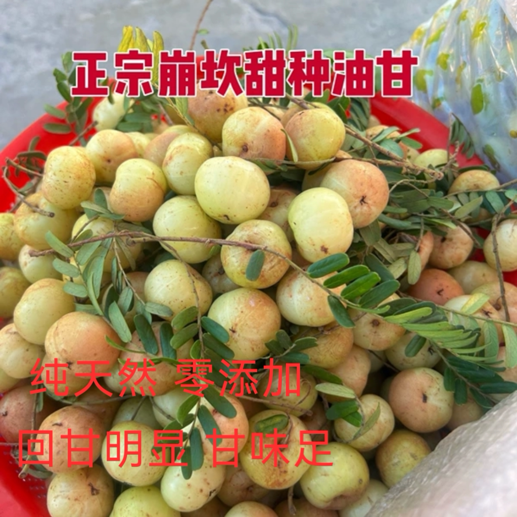潮汕普宁崩坎甜油甘新鲜油甘果牛甘果余甘果滇橄榄甜种柿饼甜油柑