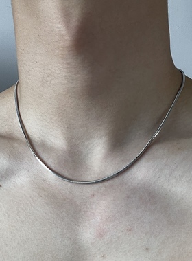 极简蛇骨链锁骨链男潮痞帅美式高街钛钢百搭项链女嘻哈不掉色颈链