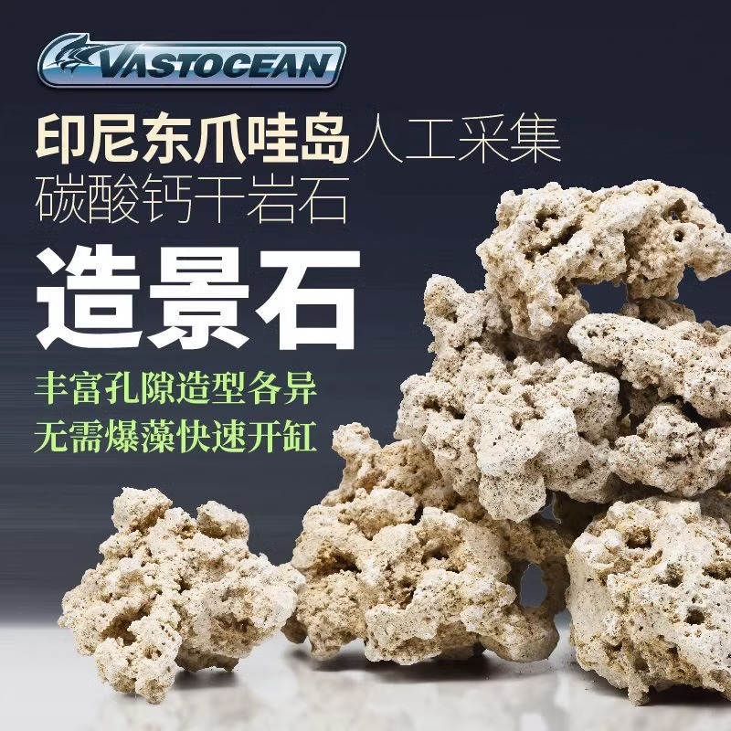 印尼爪哇石免爆藻造景石快速开缸