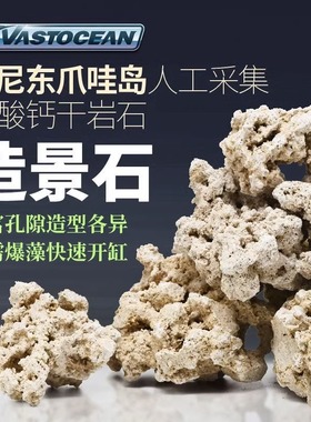 印尼爪哇岛干岩石海水珊瑚缸免爆藻造景石海缸快速开缸死石培菌石