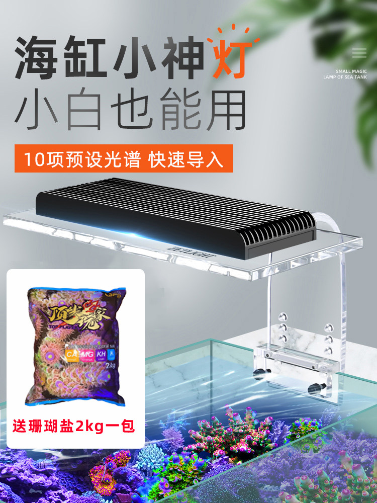 积光海水珊瑚灯日出日落全光谱图片
