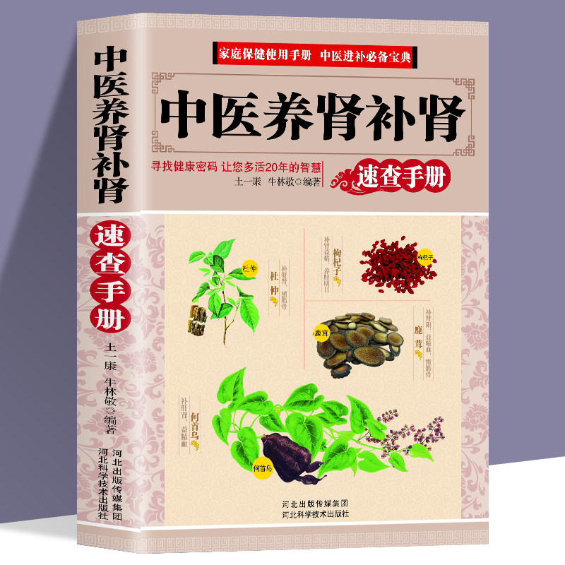 中医养肾补肾食谱药膳中药材