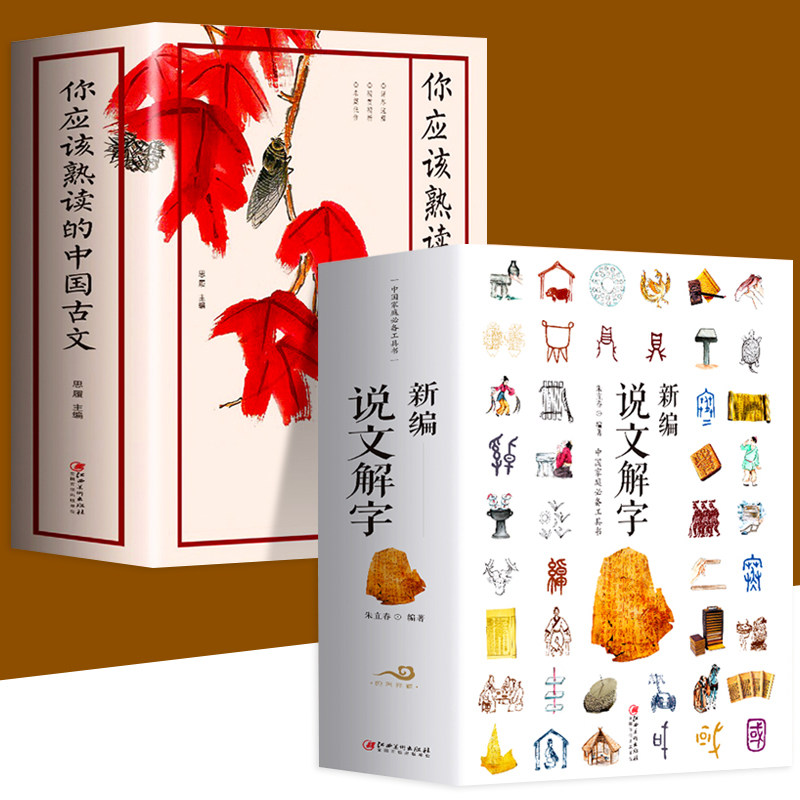 正版全2册 新编说文解字+你应该熟读的中国古文 语言文字古代汉语字典国学经典古文字学研究 学习古文不可多得的文本古文畅销书籍