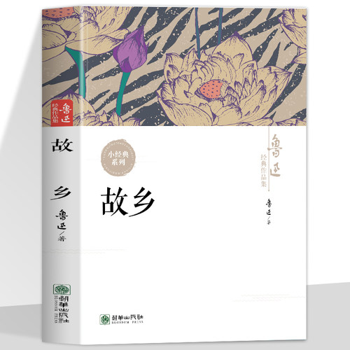 故乡 鲁迅经典作品集 在记忆与现实的撕裂中述说对旧中国乡土困境的悲愤痛苦怜悯 现实主义手法和深刻的社会洞察影响后续诸多创作