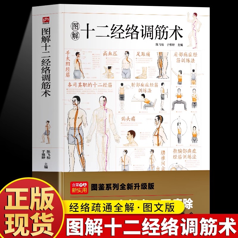 图解十二经络调筋术书籍正版 人体十二经络疏通法全图解 中医经筋疗法图解调节经络 经筋常见病症康复训练指导中医古传调经术书籍