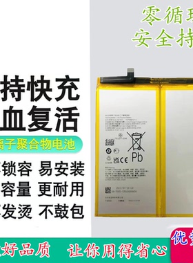 适用于OPPO/realme Pad X / pad 11英寸平板电池平板电池 BLT005