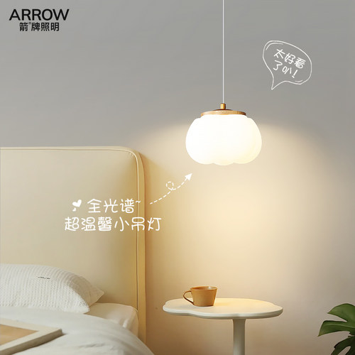 现代简约全光谱护眼ARROW/箭吊灯