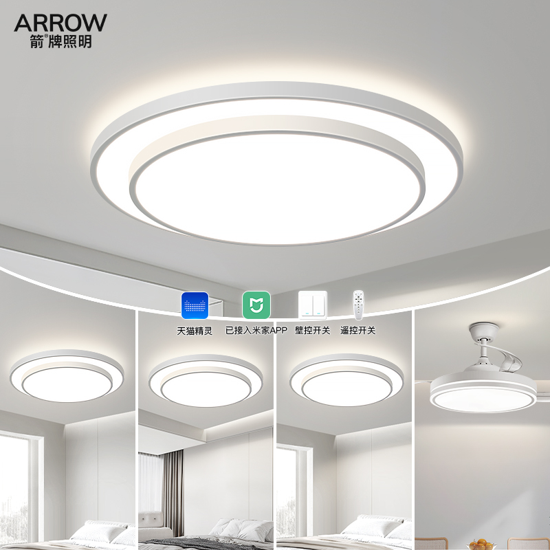 箭牌大尺寸圆形客厅灯具套装组合