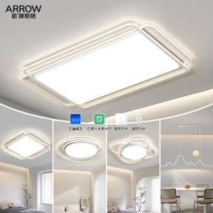 箭牌LED吸顶灯简约现代大气客厅灯北欧极简房间灯卧室餐厅灯具Q