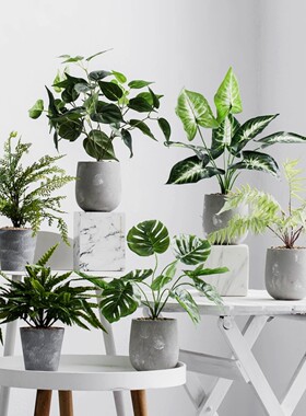北欧ins仿真植物装饰花风小摆件客厅桌面盆栽家居室内假绿植盆景
