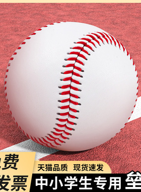 小学生10寸垒球9号棒球软硬实心中考用棒球比赛训练打棒球的球类