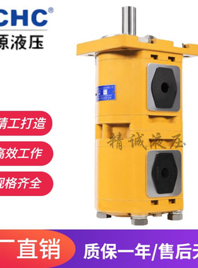 合肥长源液压双联齿轮油泵CBQL-F550/F550-CFHL,F540/F525-CFP