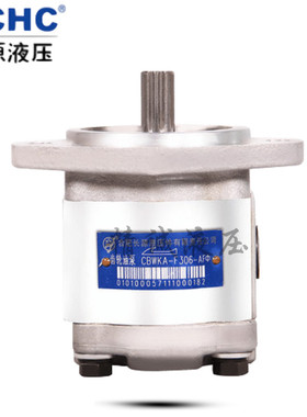 合肥长源液压齿轮油泵CBWKA-F323-AL1Z1/F312-AF3/325-AF/306-AFL