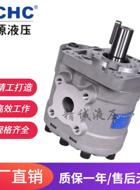 合肥长源液压齿轮油泵CBT-F563-BT1H/F540-BFHL/BFH/F520-BTHL