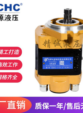 合肥长源液压齿轮油泵CBHZ-F32/40-ALH6L,ALH4,F32-ALP,F36-AF1L