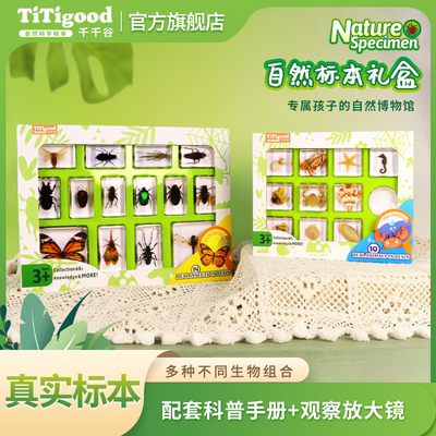 千千谷自然标本礼盒装六一礼物