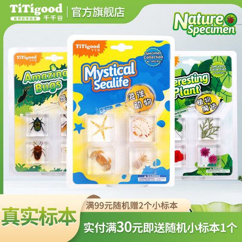 titigood千千谷自然魔块真虫标本玩具树脂儿童科学套装昆虫海洋