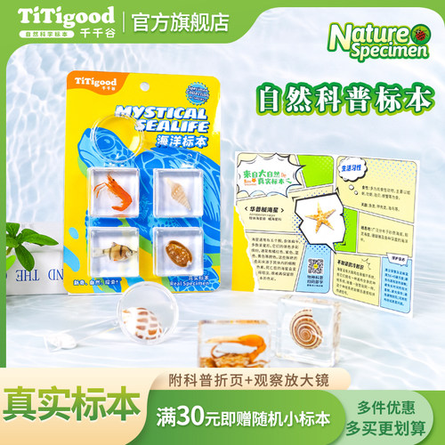 千千谷真实海洋标本热带鱼类魔方儿童创意礼物自然教育教学小玩具