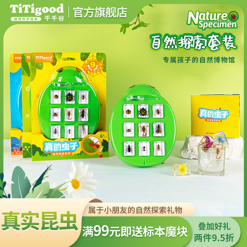 千千谷自然标本创意礼物
