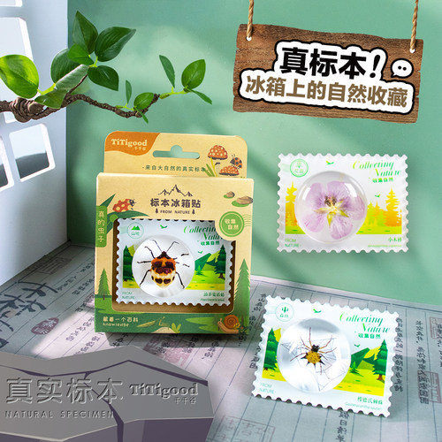 千千谷真实昆虫标本冰箱贴