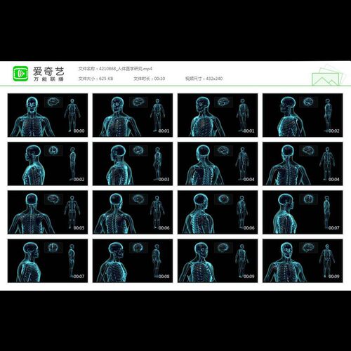 人体医学研究智慧大脑骨骼骨架人工智能宣传视频素材