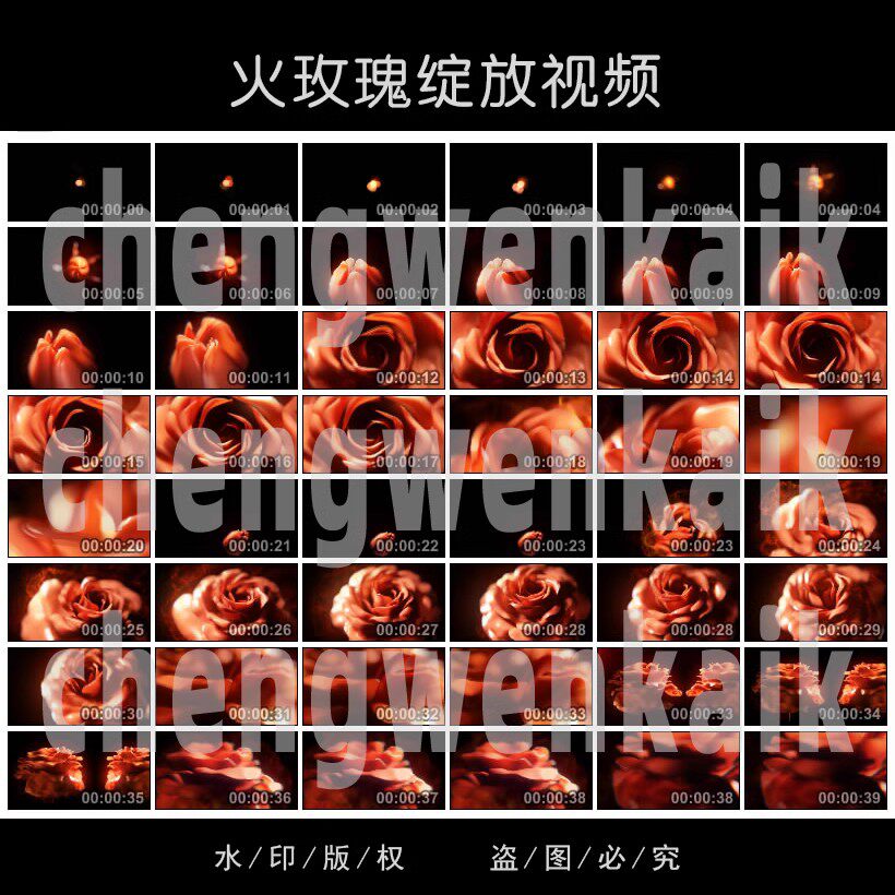 粒子火焰花朵盛开火玫瑰绽放led舞台背景视频素材