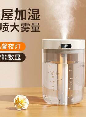 大容量双喷加湿器 5L热销usb大喷雾量静音家用空气净化器礼品2个