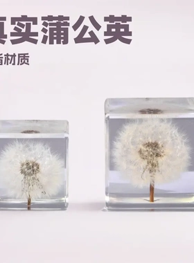 新款蒲公英方块树脂水晶生日礼品