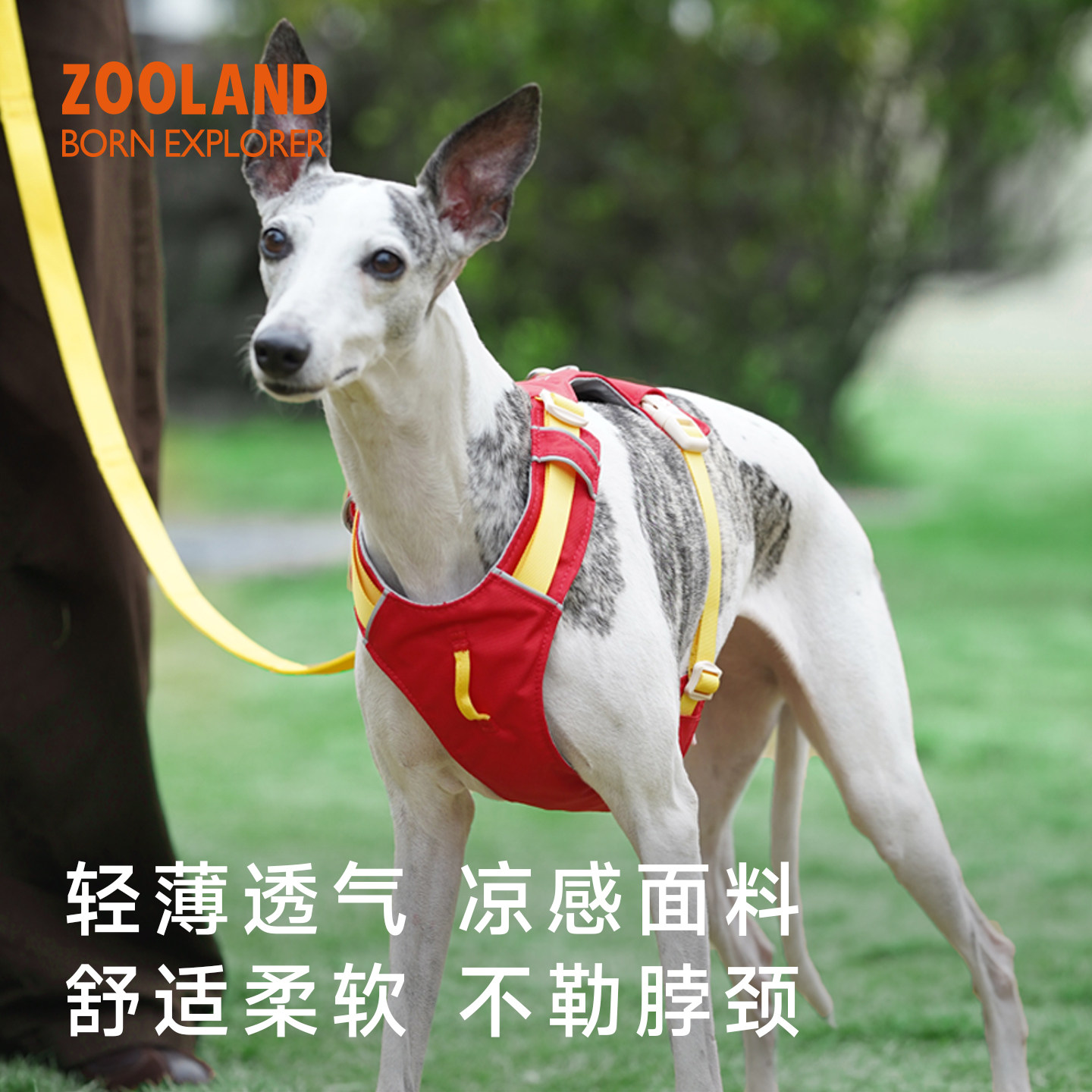 ZOOLAND狗狗胸背带牵引绳工字遛狗小中大型犬防爆冲挣脱宠物背心