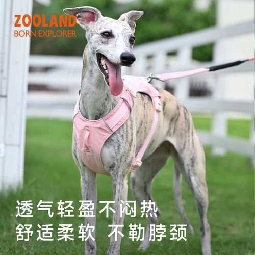ZOOLAND宠物狗狗牵引绳防爆冲遛狗小中大型犬工字胸背带外出专用