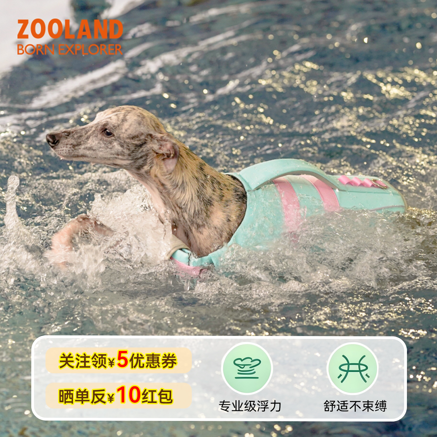 ZOOLAND域揽狗狗救生衣户外强浮力小中大型犬宠物金毛柯基游泳衣