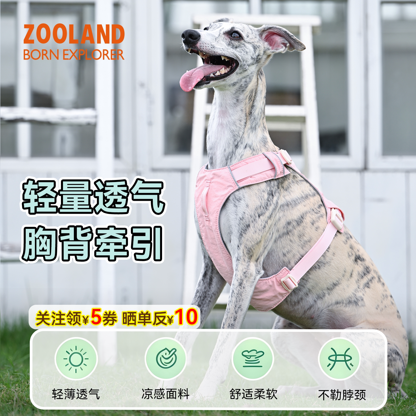 ZOOLAND宠物狗狗牵引绳防爆冲遛狗小中大型犬工字胸背带外出专用图片