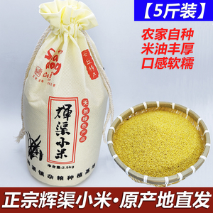 正宗安丘辉渠小米5斤装2023年新米宝宝月子米食用农家春谷黄小米