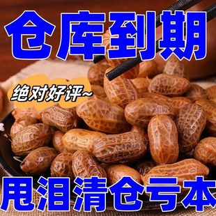 五香水煮花生带壳湿花生保鲜卤味下酒菜酒鬼花生米烧烤 杪杀