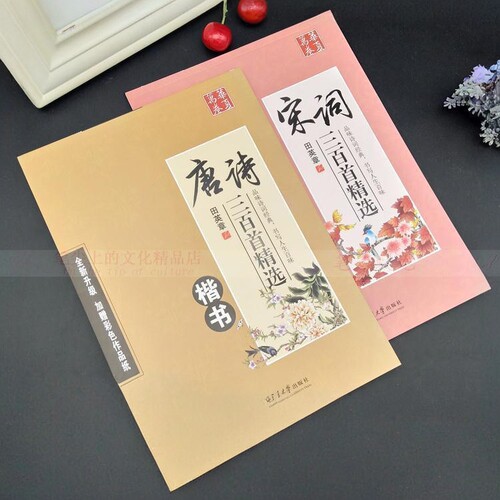 田英章书硬笔楷书唐诗三百首宋词三百首学生描红成人正楷体练字帖 - 封面