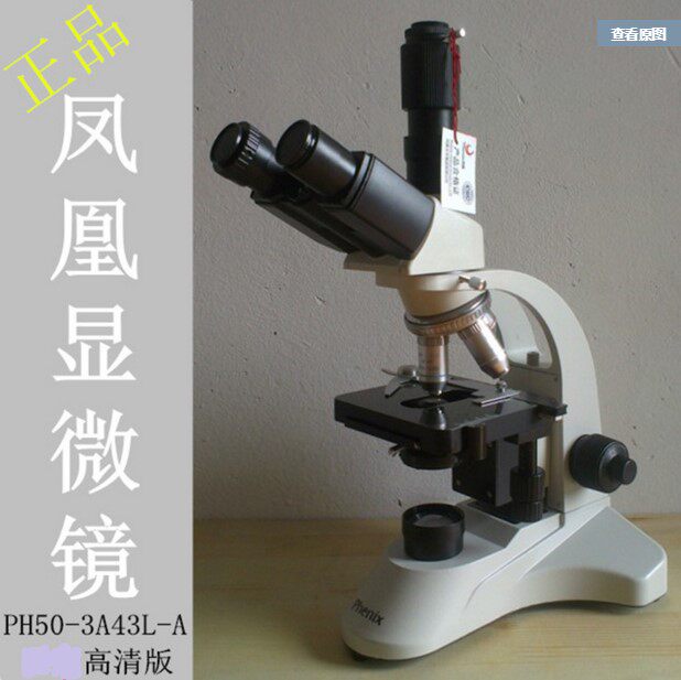 三目电子数码生物显微镜凤凰