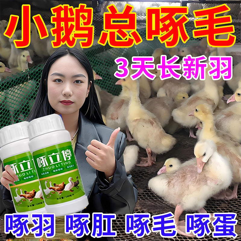 小鹅啄毛药专治鸡鸭鹅掉毛啄羽