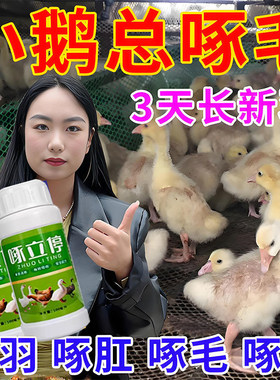 小鹅啄毛药专治鸡鸭鹅掉毛啄羽