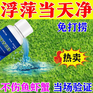 浮萍净正品净水产养殖克星不伤水草稻田虾蟹水塘莲藕除浮萍净清理
