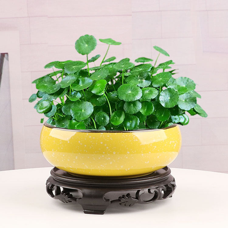 无孔铜钱草花盆陶瓷清仓水仙睡莲碗莲荷花水培容器大小号个性盆栽