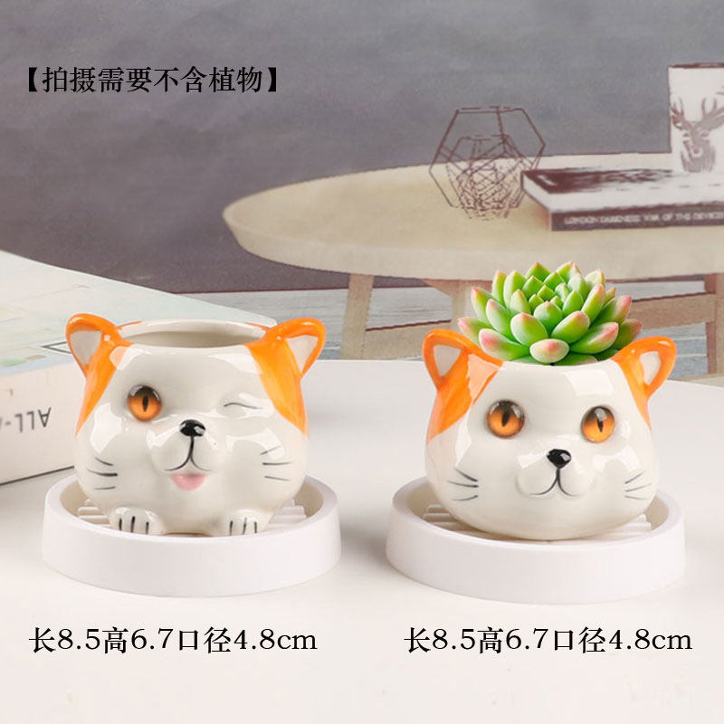 多肉花盆陶瓷圆形简约创意个性透气室内家用小绿植盆栽摆件带托盘