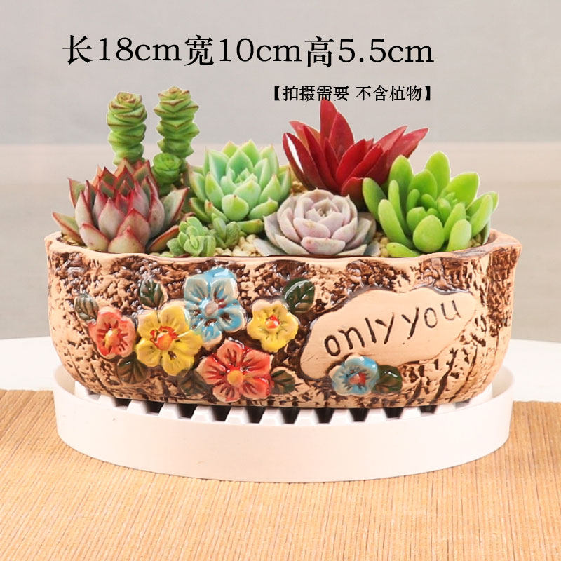多肉花盆陶瓷圆形简约创意个性透气室内家用小绿植盆栽摆件带托盘