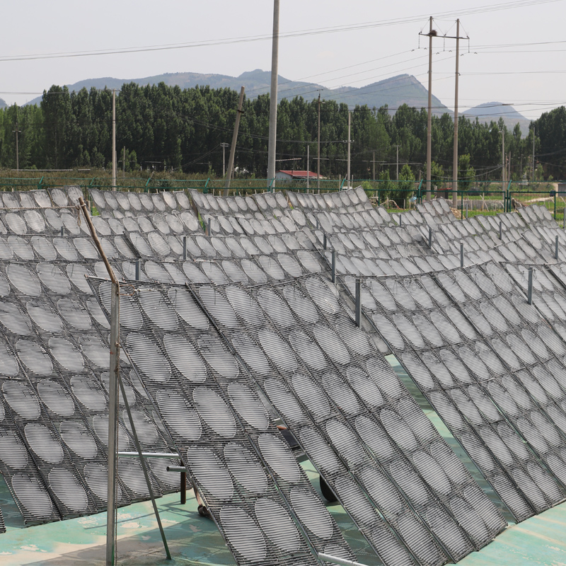 2022年新泰安红薯粉皮山东特产