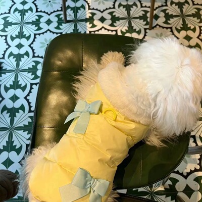 狗狗蝴蝶结棉衣宠物秋冬保暖猫咪马甲公主泰迪小型衣服