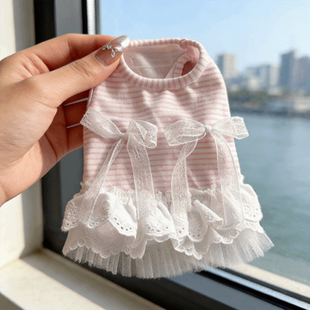 狗狗衣服春夏装猫咪公主娃娃裙蕾丝小型犬泰迪比熊宠物薄款背心