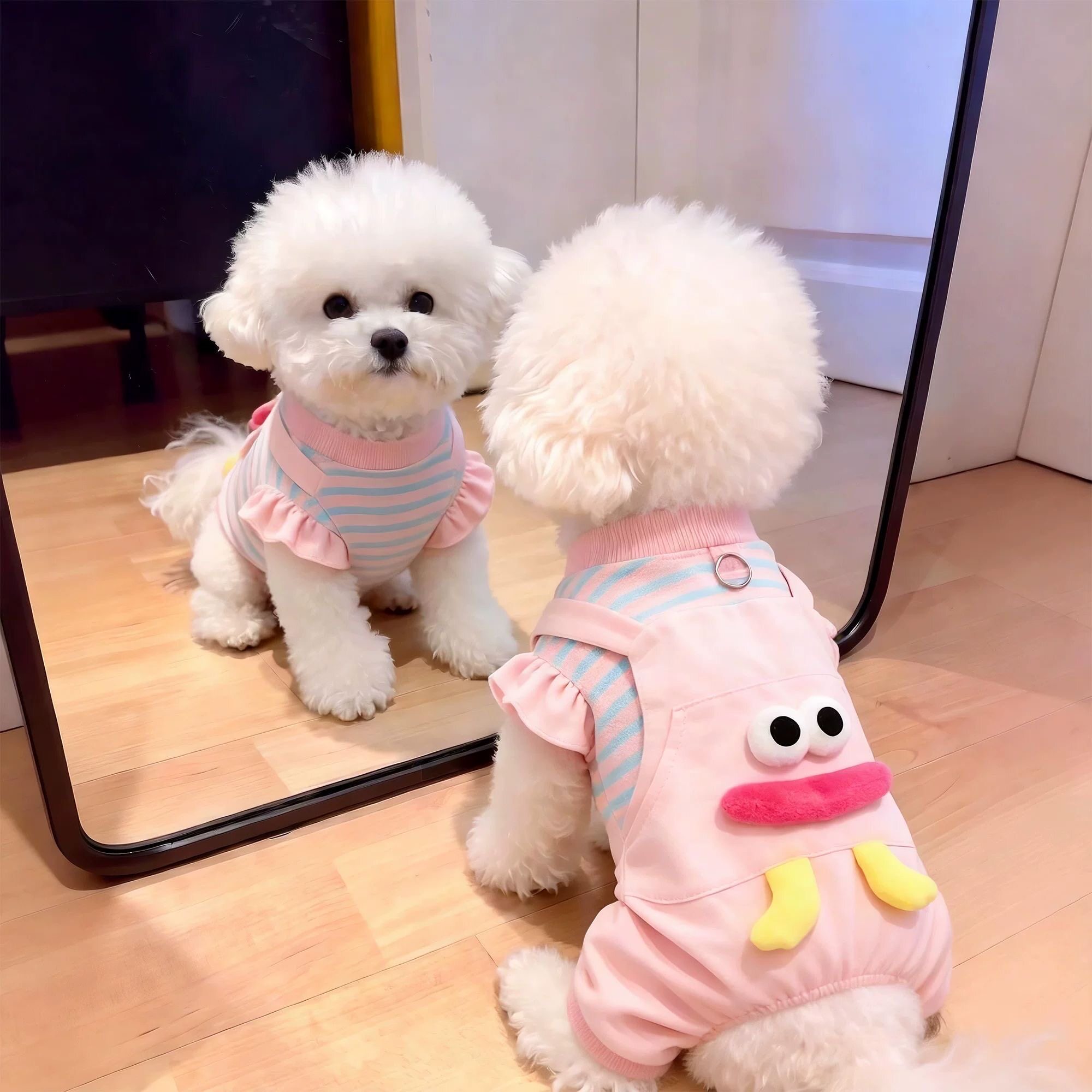 秋冬小型犬可牵引四脚保暖防掉毛